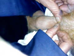 Docking with mature grey daddy bear