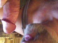 Sucking Thick White Cock Till CIM - Cum Play & Swallow